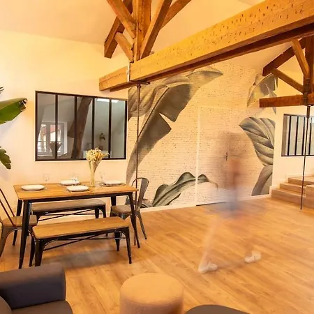 Loft Atelier Hyper Centre شقة ألبي