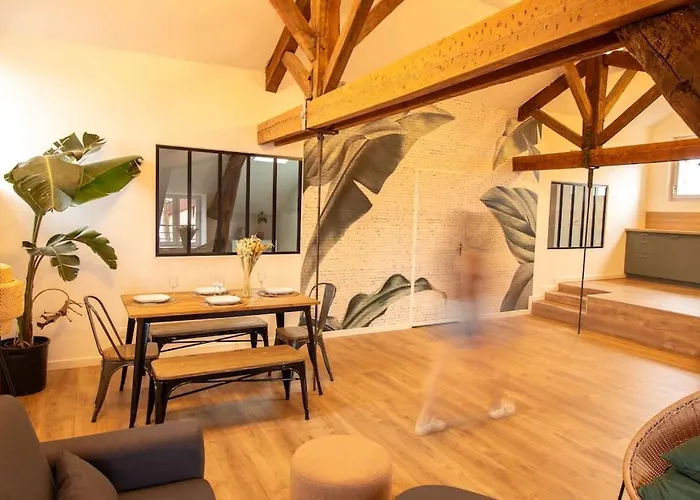 Loft Atelier Hyper Centre Апартаменты Альби