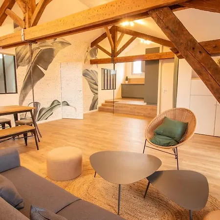 Apartament Loft Atelier Hyper Centre