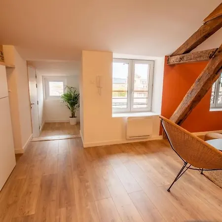 Apartament Loft Atelier Hyper Centre *